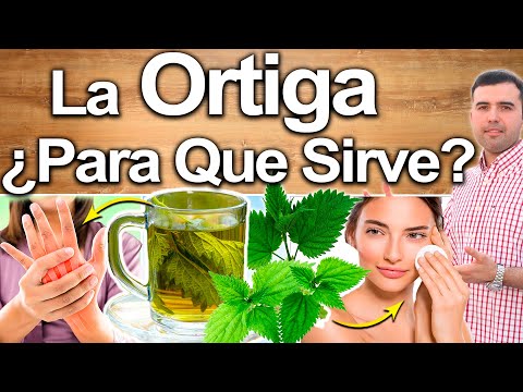 Video: Beneficios del té de ortiga: cultiva y prepara tu propio té de hojas de ortiga