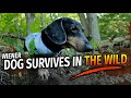 OAKLEY'S WILDERNESS SURVIVAL - Funny Talking Wiener Dog!