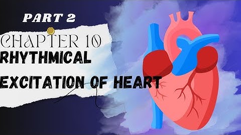 Guyton chapter 10 Rhytmical excitation of the heart (Part 2)