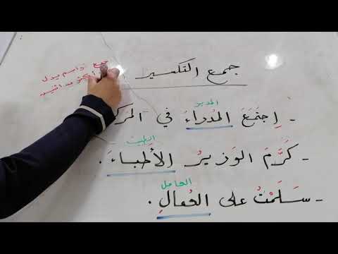 جمع التكسير للصف السادس