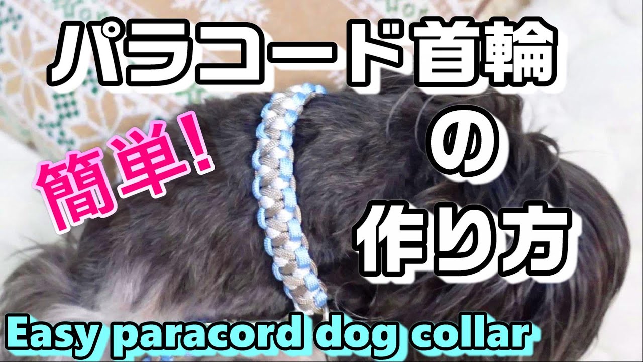 How to make a basic solomon cobra paracord dog collar. - YouTube