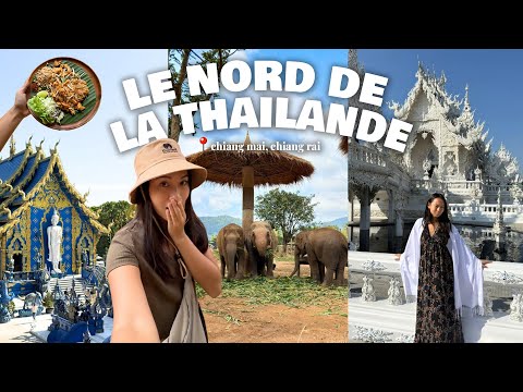 Chiang Mai/Chiang Rai: I absolutely LOVED Northern Thailand 🥺❤️