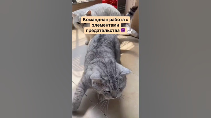 Интересно,что его сподвигло на такой поступок?!😄🤔💭Предательство своего собрата😎