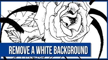 How To Remove A White Background Or Make It Transparent In Photoshop 2020