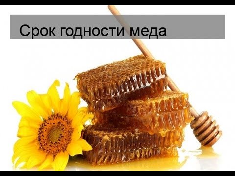 Сколько лет хранится мед в домашних условиях