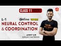 Neural Control And Coordination | Class 11th NCERT | Neet 2020 Preparation | By Amrit Raj Sir