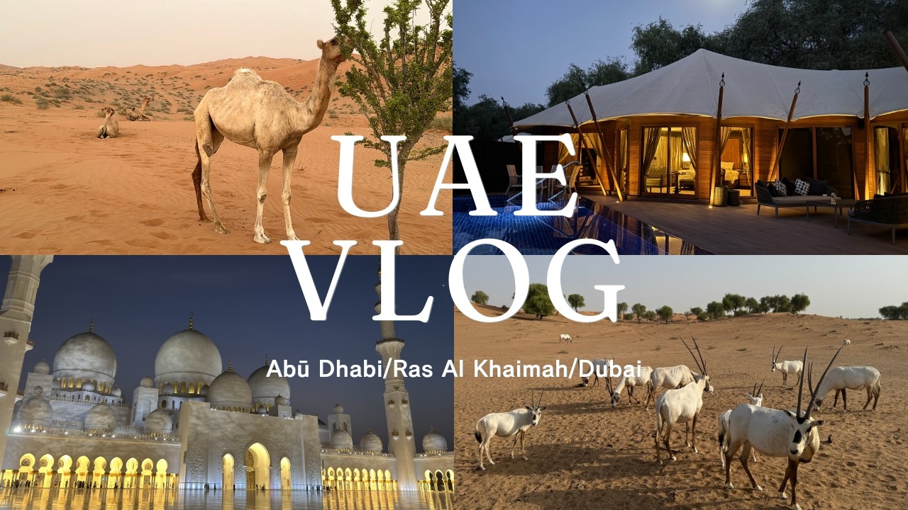 【ドバイ/アブダビVlog #1】アブダビの定番観光スポットを満喫！モスク・スタバ・砂漠・グルメ全てが凄かった！毎日40℃越えとUAEならではを体験！🇦🇪🐪