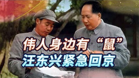 1960年毛主席發現身邊有「老鼠」，急召汪東興回京，老鼠是何身份 - 天天要聞