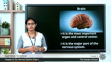Grade 5 General Science Chapter 8 Class 1 Nervous System and the Brain