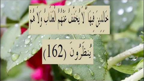 القران الكريم سورة البقرة الاية 162