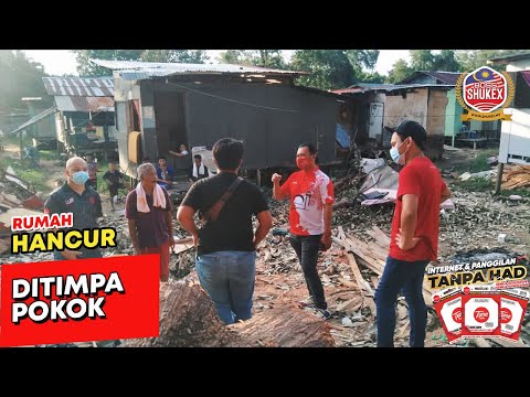 Rumah Hancur Ditimpa Pokok di Kota Kinabalu, Sabah. Rumah Hancur Ditimpa Pokok di Kota Kinabalu, Sabah.