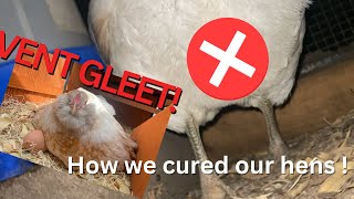 HOW TO CURE VENT GLEET!!