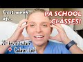 My First Week of PA SCHOOL CLASSES: VLOG - Online Lectures, Cadaver Lab | MY PATH TO PA - Sam Kelly