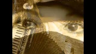 SHORT Ochi chorniye on accordion mp4