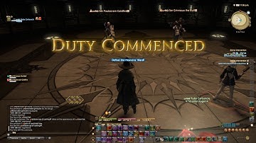 Heavensward: Divine Intervention - I need a Hero!