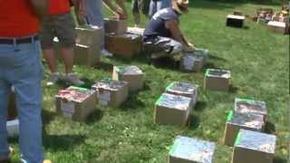 2012 Extreme Backyard Fireworks