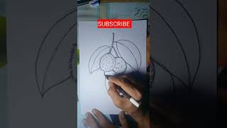 Cara menggambar buah Rambutan