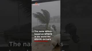What is the difference between a hurricane, typhoon and a cyclone?