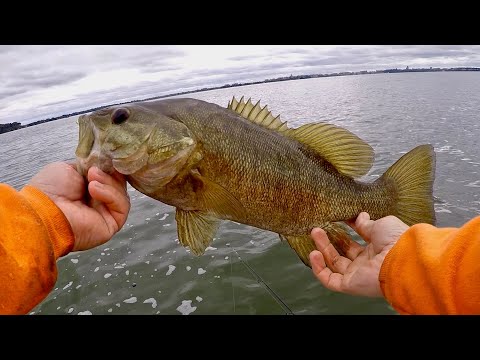 Fishing for Fall Smallmouth Bass with Slip Bobbers! - So much