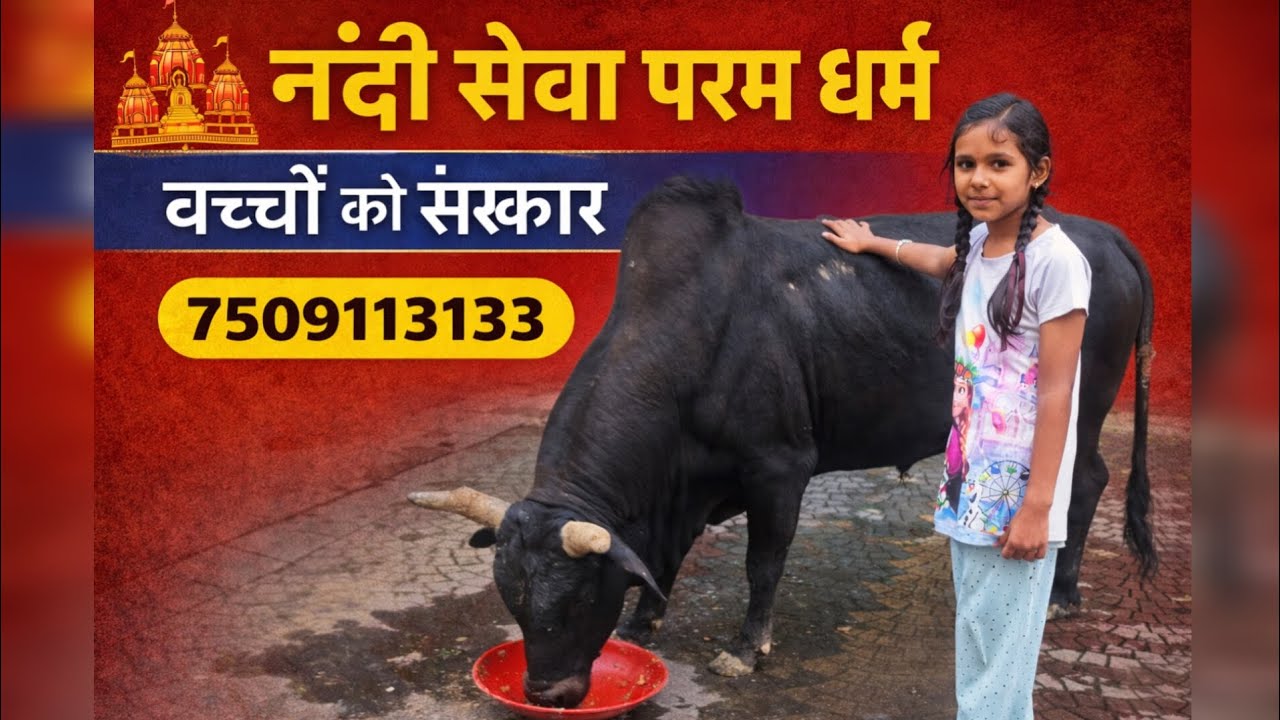 Gau seva kyon  jaruri || Nandi seva param dharam || Bachho ko sanskar || #cow #cowlover  #gaumata 