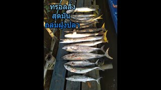 ทรอลลิ่ง สุดมัน ถล่มฝูงปลา ทะเลนาทับ สงขลา กับ ไต๋หีม part2