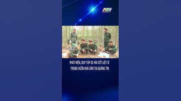 Phát hiện, quy tập 03 hài cốt liệt sĩ trong vườn nhà dân tại Quảng Trị | PTQ