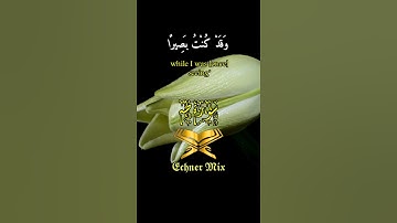 حالات واتس - سورة طه الاية (126) - للقارئ | إسلام صبحي🥀