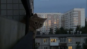 forget. - a relaxing ambient dreamcore playlist for sleeping/background music