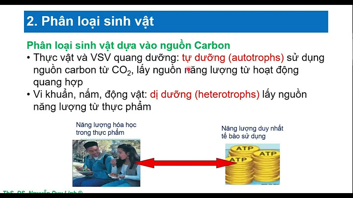 Phosphoryl hóa ở mức cơ chất có nghĩa là gì năm 2024