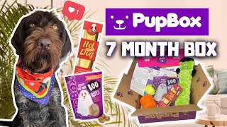 7 MONTH PUPBOX UNBOXING | OCTOBER 2021 | MY LAST BOX?