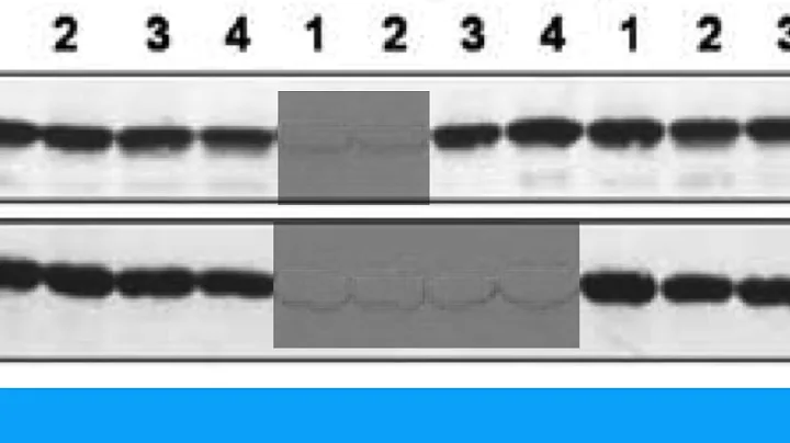 7F86D50B10C037372462E767D19811#2