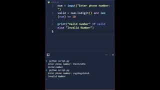 Build a Phone Validator Interviewers Will Love #python #interview #shorts