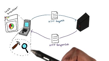 Sending API Requests with Postman and Curl