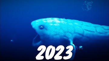 Evolution of the Bloop | Part 4