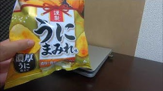 どこにでも行くドスコイ Youtube