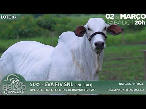 LOTE 07   SNL 1383