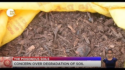 POISONOUS SOIL: Impact of soil degradation