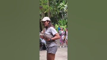 This Single Opossum Looking Good!