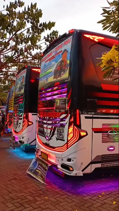 Story WA bus malam full Strobo #shorts