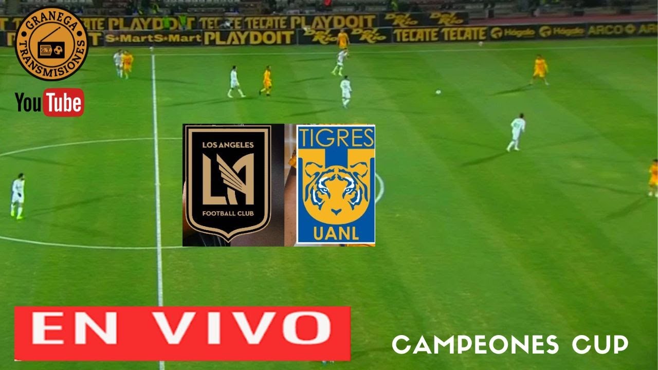 LOS ANGELES FC VS TIGRES UANL EN VIVO 🔴 CAMPEONES CUP LA FINAL YouTube