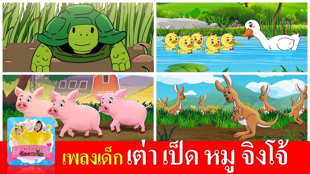 เพลงเด็ก เต่า เป็ด หมู จิงโจ้ | เต่าเอ๋ยเต่า | เป็ดก้าบก้าบ | หมูอู๊ดอู๊ด | จิงโจ้