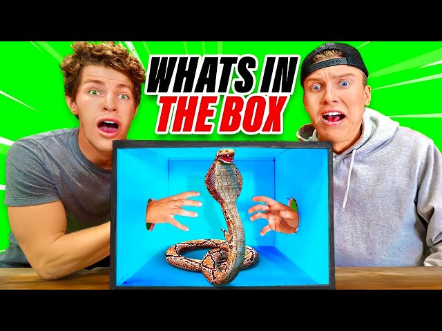 EXTREME What’s In The Box Challenge! class=