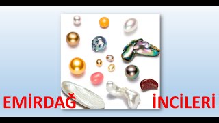 Emi̇rdağ İnci̇leri̇/Emi̇rdağ Halk Türküleri̇/Yol Havalari/Sali Günü Emi̇rdağin Pazari/Kalayli Kap