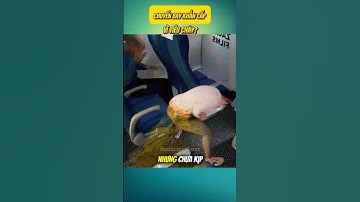 Chuyến Bay Khẩn Cấp Vì Tiêu Chảy!