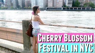 CHERRY BLOSSOM FESTIVAL ROOSEVELT ISLAND IN NYC