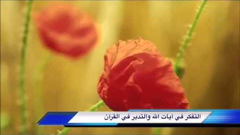 تدبر القرآن والتفكر في آيات الله للشيخ محمد سعيد رسلان