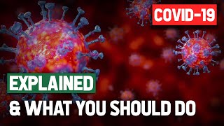 The Coronavirus Explained & What You Should Do Information
