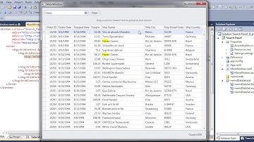 WPF Grid: Integrated Search Panel