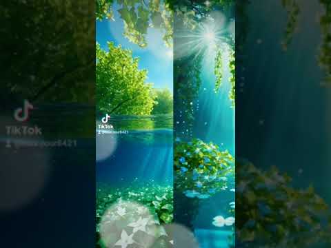 سورة الفجر محمد قصطالي