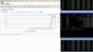 Silver-Peak: Effective Throughput Across the WAN